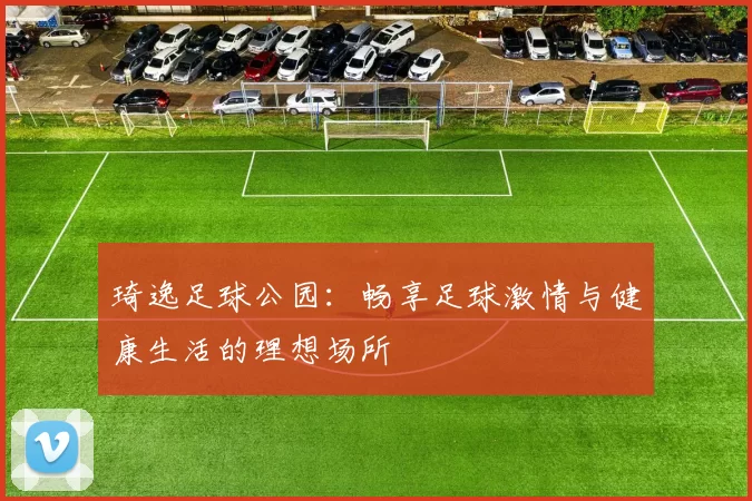琦逸足球公园：畅享足球激情与健康生活的理想场所