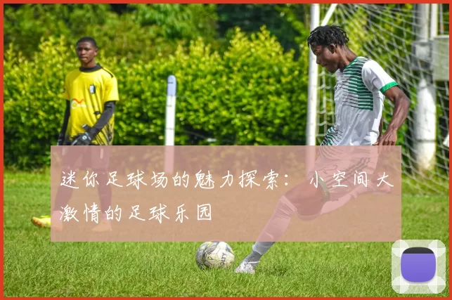 迷你足球场的魅力探索：小空间大激情的足球乐园