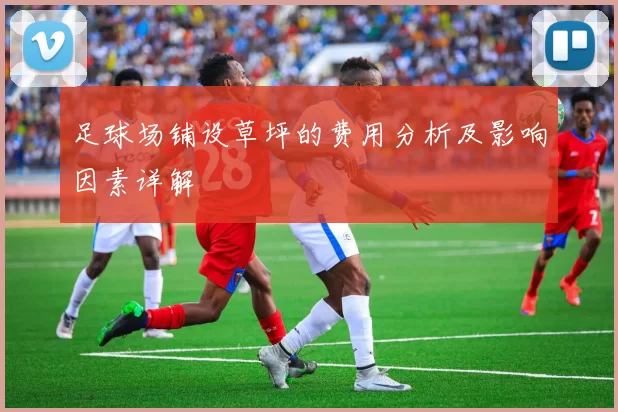 足球场铺设草坪的费用分析及影响因素详解